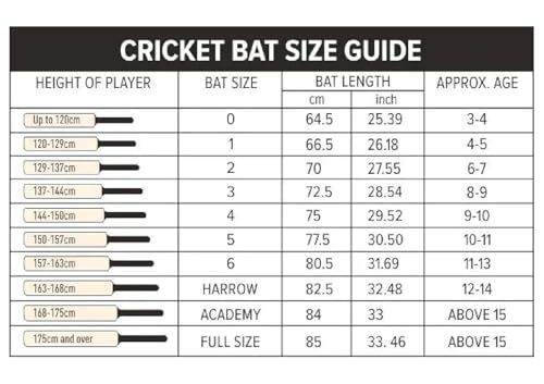 Image of GM Noir Bullet English Willow Professional Cricket Bat for Mens, Full Size with Free Bat Cover