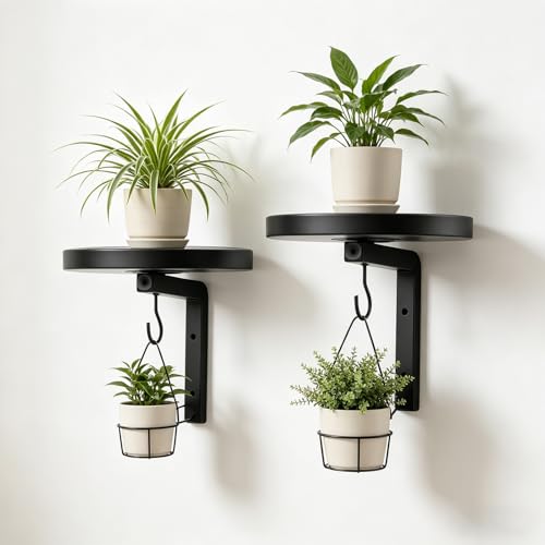 Tefola Plant Hangers Shelves Wall Mounted Indoor Outdoor, Metal Hanger with 2 Hooks, Floating Flower Display Stand for Window,Space Saving & Easy to Assemble for Outdoor Kitchen Bathroom Decor
