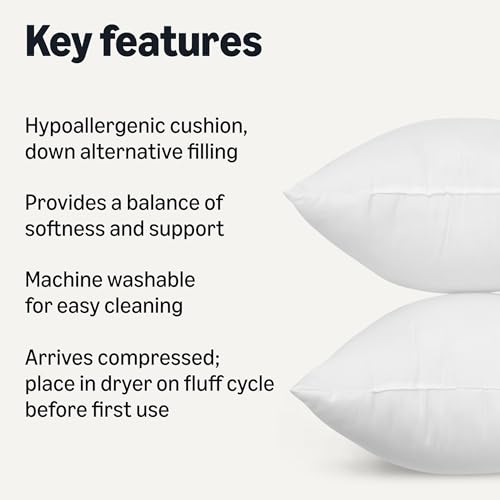 Image of Amazon Basics Square Hypoallergenic Down Alternative Pillow Insert, Machine Washable, Softness and Support, 20 inch, 2-Pack