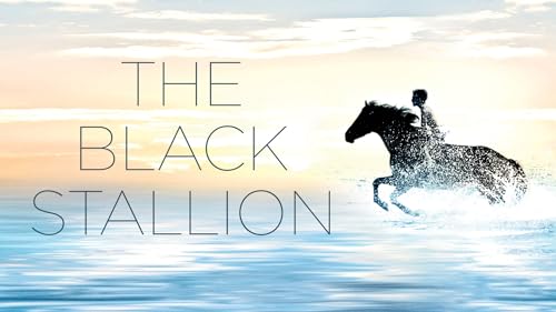 The Black Stallion - Image 2
