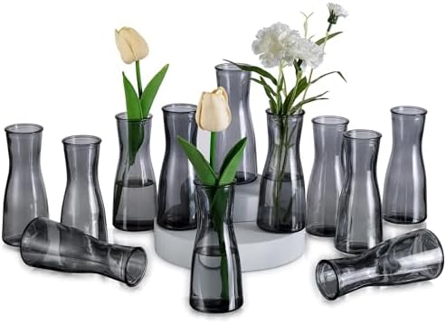 Glasseam Kleine Vasen Glas für Tischdeko: Schmale Vase Grau 12 St...