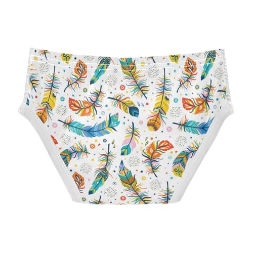 Boys' Exclusive Briefs Toddler Underwear 95% Combed Cotton Boxerbriefs 2T Colorful Feather Pattern 52
