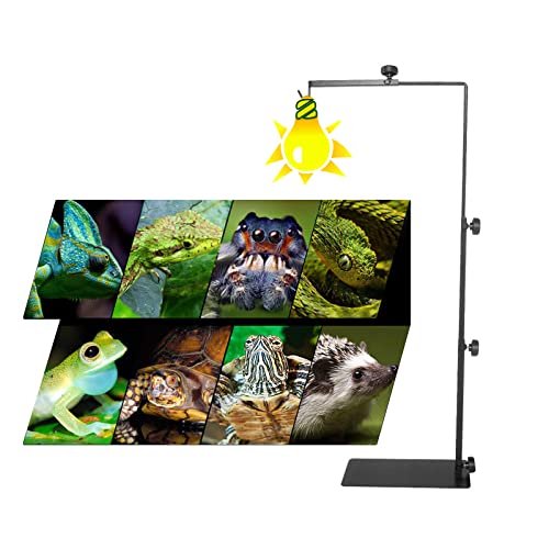 Reptile Support de Lampe, Support de Lampe D'atterrissage Réglable de Lampe pour reptiles pour Tortue Lézard Tortue Pet pour Reptiles Verre Terrarium Poissons Éclairage De L'aquarium(TAILLE:Gros)