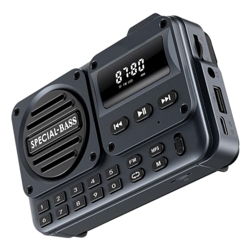 Radio numérique AM/FM portable à écran LED pour une réception stable