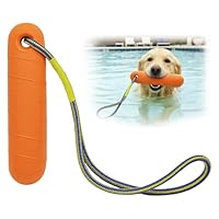 Ourdort Hundespielzeug,Schwimm Spielzeug für Hunde,Wasserspielzeug für Hund Hundetraining,Interaktives Hundespielzeug,Trainieren und Apportieren im Wasser (orange)