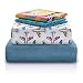 Chital 4Pc Twin Linen Sheet Set - Cute Airplane Print - Flat & Fitted Sheets 2 Pillowcases Kids Girl Boy & Teen - Supper Soft Microfiber- Fits Bed Size: 39 x 75 x 15 Inches Deep