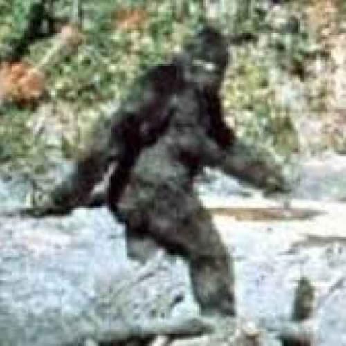 Patterson-Gimlin Film cover art