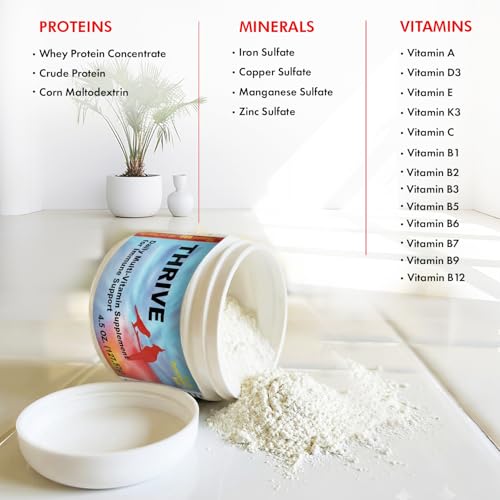 Morning Bird Thrive 2 oz – Daily Multi-Vitamin Bird Supplement for Immune & Recovery Support – Ideal for Sick, Injured, or Recovering Birds – Energy & Wellness Formula for Adult Birds - Image 3