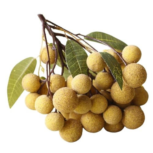 Ipetboom 人工竜眼装飾 インテリア用リアル果実モデル 店舗 家 撮影用ディスプレイ フェイクフルーツ置物