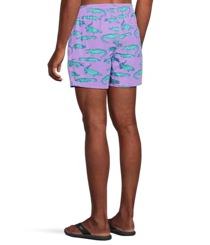 Chubbies Men's The Gem Glades 5.5" (Classic Lined Swim Trunk)3
