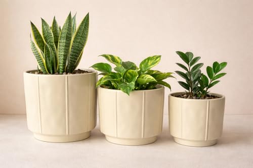 Image of Xtore Linea Ceramic Planter Set | Minimal Straight-Line Plant Pots for Home & Office Decor - (Set of 3, Cream, Planter ONLY)