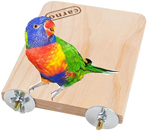 Litewoo Suporte de plataforma para poleiro de madeira para pássaros, periquito, periquito, calopsita