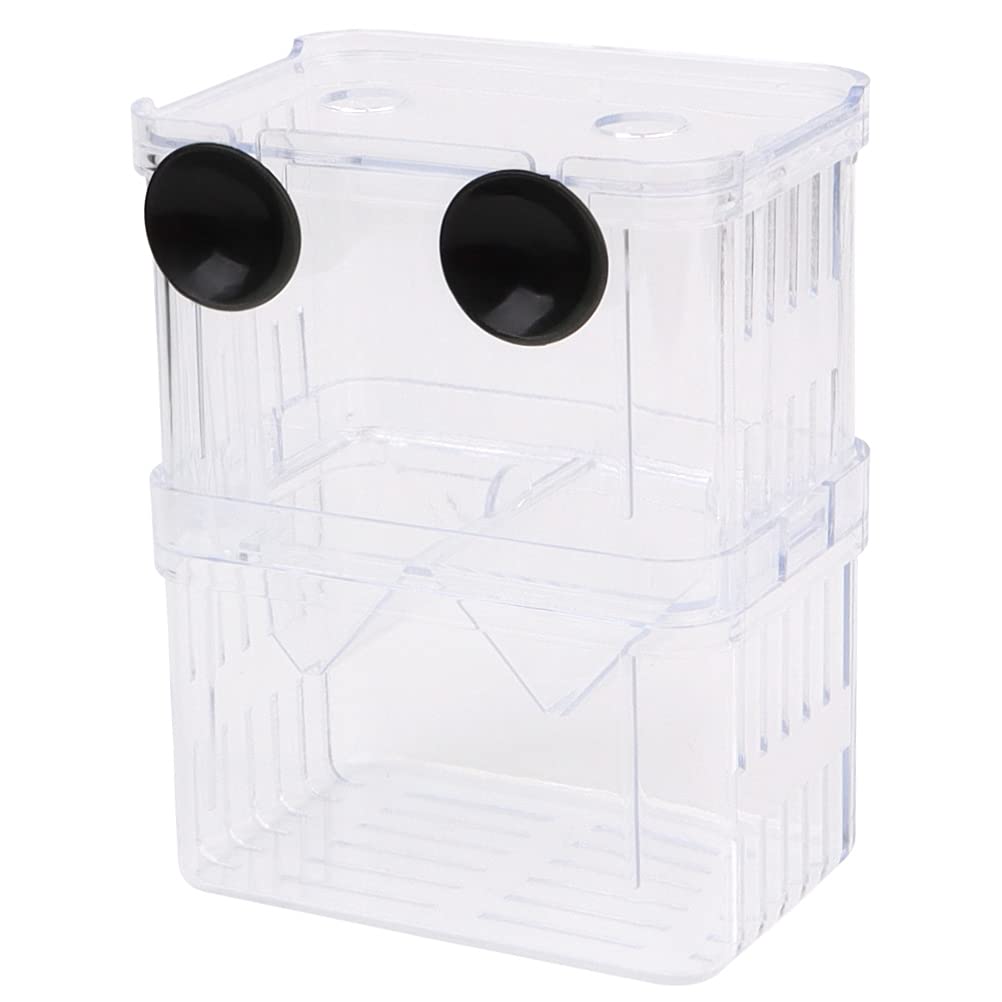 Buy Acrylic Large Fish Tank Isolation Box 13.5x10.5x7.5cm Aquarium Fish