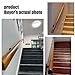 Wooden Handrails, 1-20ft Non-Slip Staircase Handrail, for Home Garden Corridor Lofts Kindergarten Guardrail Decking Railings, Wall Mounted Barrier-Free Staircase Grab Bar for Elderly (Size : 2ft)