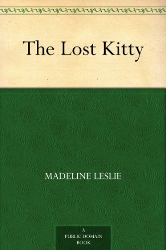 The Lost Kitty