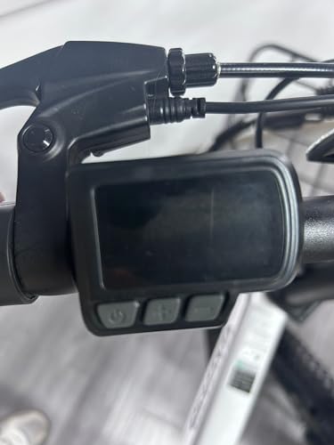 FLYFISH���i��p �t���f�B�X�v���C ���C�g