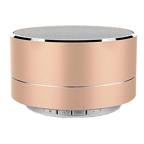 VEZARON Smart BT Speakers, Wireless Portable Blue Tooth Speakers w/LED Display, Perfect Mini Speaker for Shower, Room, Bike, Car (Gold)