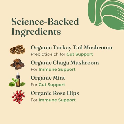 Image of Four Sigmatic Gut Health Mushroom Elixir | Coffee Alternative with Organic Turkey Tail, Organic Chaga Mushroom Powder, Rose Hips & Mint | Digestive Support & Immune Support | 20 Packets