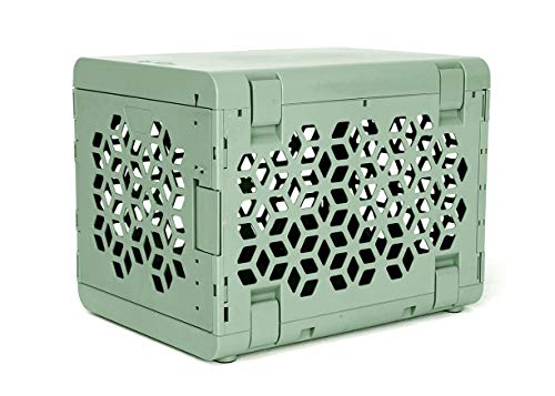 small collapsible dog crate