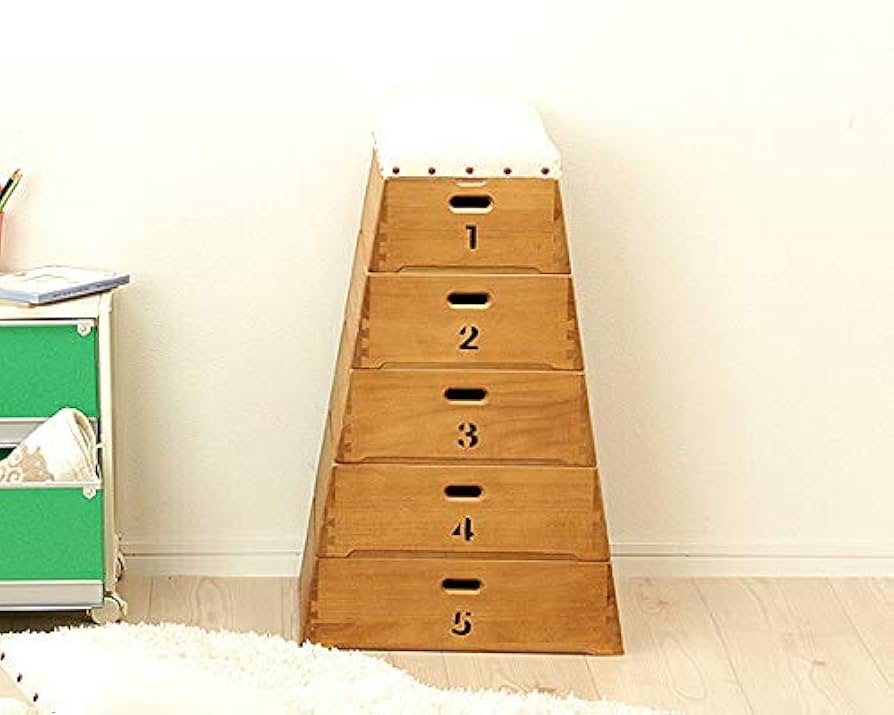 Amazon.co.jp: 家具の里 おもちゃ箱 トビコバコ (TOBIcoBACO) 5