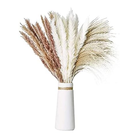 Yolispa Natural Pampas grass Decor, 60Pcs Natural Dried Pampas Grass Fluffy Pampas Grass Set DIY Boho Plant for Wedding Flower Arrangements Home Decor Cover