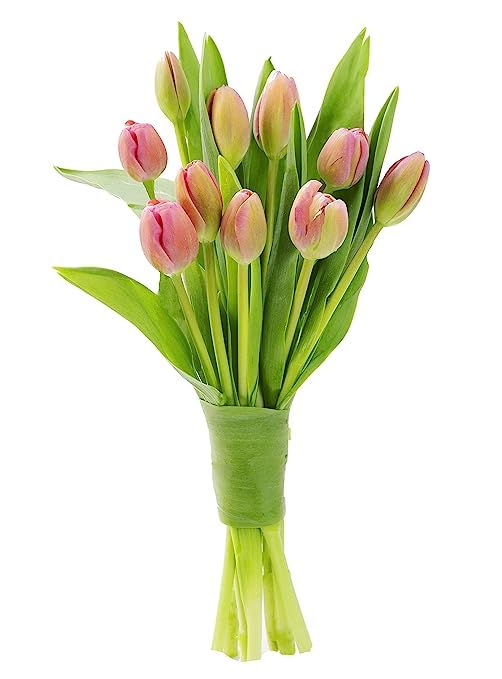 KaBloom Ramo de 10 tulipanes rosados Whispering Gardens of Solace, regalo para cumpleaños, condolencias, aniversario, recuperarse, gracias, San