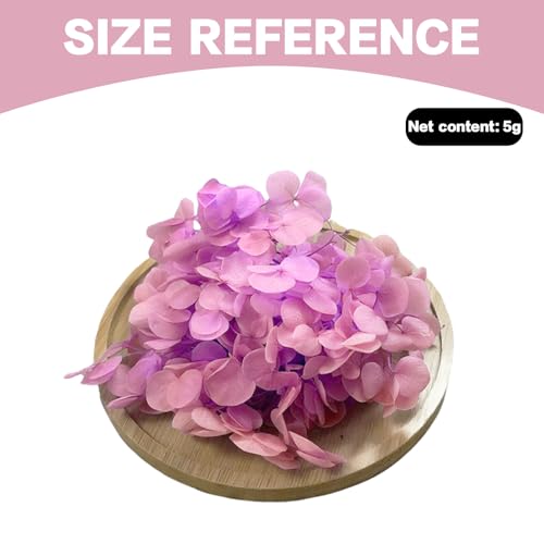 Gkhlg 1 Stück Trockenblume Hortensie Natürliche Deko für Kuchen Cupcake Dekorieren Bastelprojekte Trockenblumen für Dekoration für Bäcker Party Planer DIY Enthusiasten (Flieder)