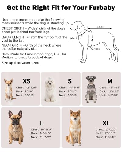 Image of CuteBone Ombre Dog Tank Top for Small Dogs, Cats - Tropical Summer Pet Vest - Breathable Ice Silk Cooling Shirt - Sun Protection, Photo, Casual Play, Walks