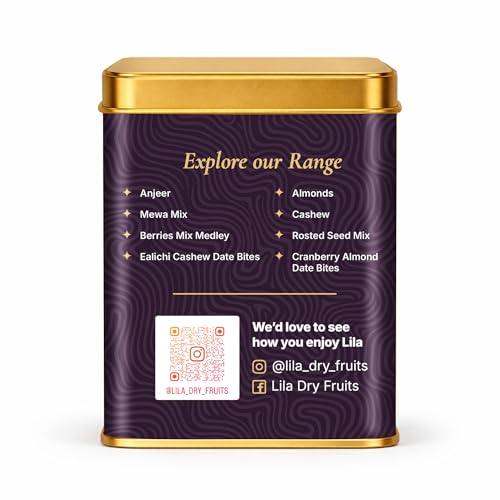 Image of LILA DRY FRUITS Dry Fruit Bites 200 g (10 Pieces) Dates Barfi with Black Raisins & Cashew | Date Mithai Healthy Sweet Snack with Desi Ghee | Premium Festive Gift DryFruit Bytes Perfect for Gifting
