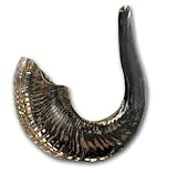Shofar Ram's Horn Shofar Medium size 39-42cm Natural Black / Dark