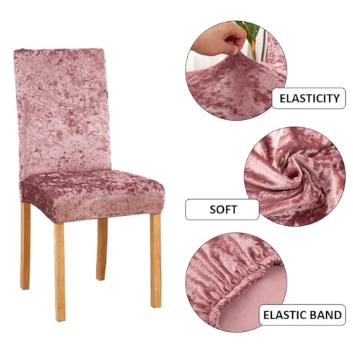 Housse de chaise velours extensible et lavable pour salle à manger - 4