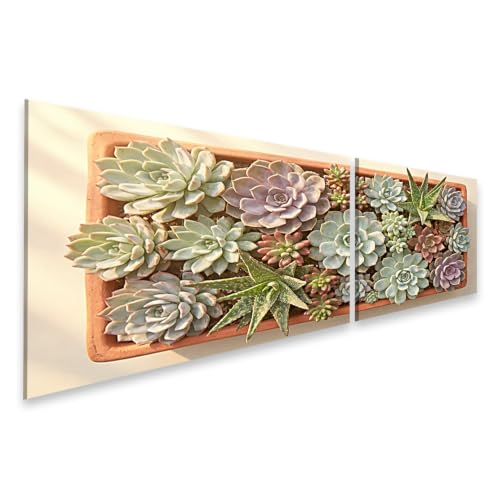 Tableau sur toile succulentes 2 pièces pour illuminer un mur vide