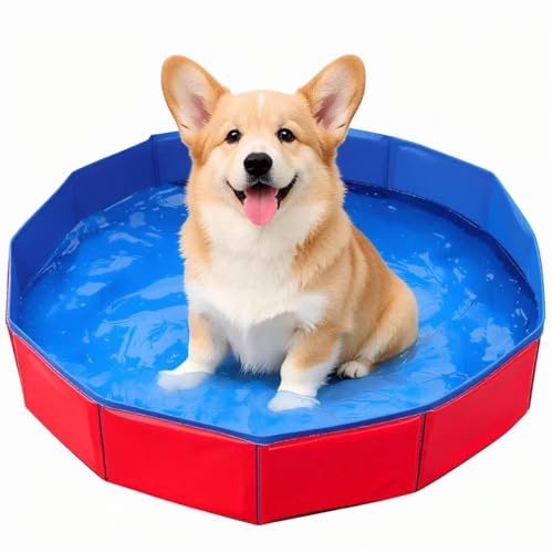 Dog Paddling Pool Foldable Pool for Small Dogs Rigid Plastic Paddling Pool for Pet Bathing Compact 50 X 10 Cm Design Durable Dog Swimming Pool Small Paddling Pool 4ft Size Plastic Pool for Outdo