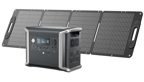 DBS1300+DBS120S
