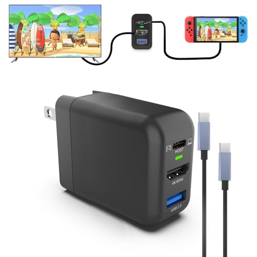 Switch ドック充電器 ゲーム同時に充電 新半導体素材GaN タイプC充電器 高速充電器(USB3.1/ HDMI/ USB2.0 3つのインターフェース) HDMI変換アダプター65W出力
