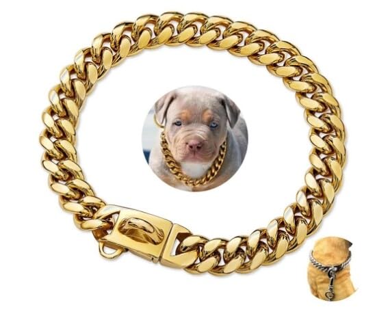 Felenny Gold Dog Chain Collar