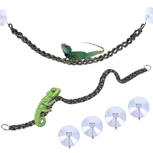 Acessórios de gaiola camaleão, acessórios camaleão, acessórios de escalada de dragão barbudo, use fe