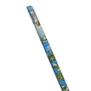 JBL – Tubo Fluorescente, de luz Diurna para acuarios de Agua Dulce, Solar Natural