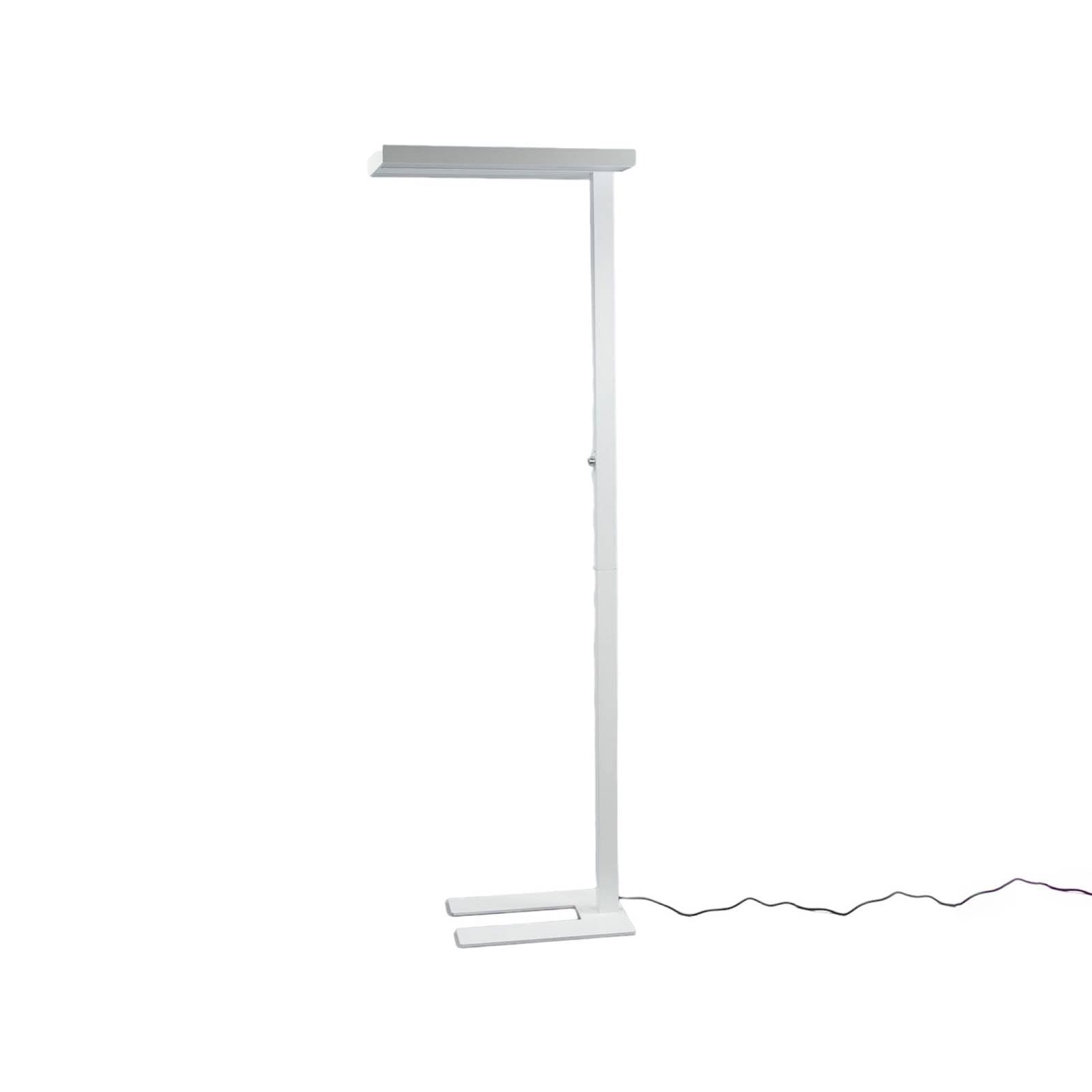 Arcchio Lampada da Terra Dimmerabile, Piantana LED 60W 6000LM Luce Bianco Naturale 4.000 K per Ufficio verso Alto e Basso Studio Moderno Industriale