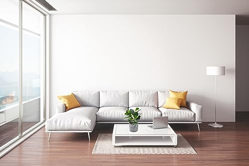 AlphaAcc Small Plants for Shelf Decor Real Looking Greenery Artificial Plants Indoor Potted Fake Plant with Rustic Black Clay Planter (ARTGRS230609-2)