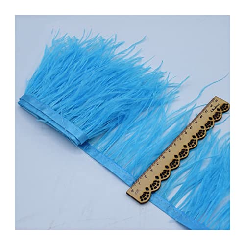 Frange de plumes d'autruche haut de gamme de 10m - 2