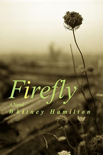 Firefly view 2