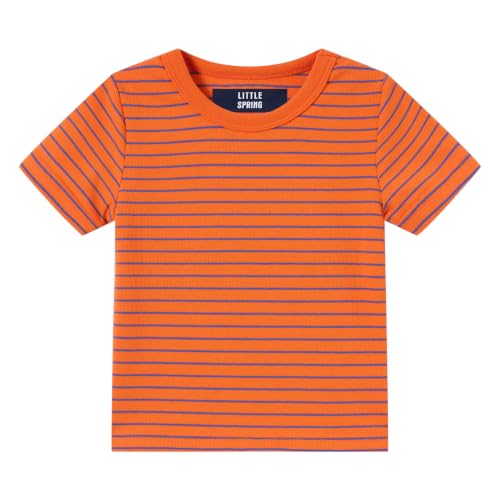 Image of LittleSpring Boys Girls T Shirt Rainbow Striped Cotton Crewneck Tees for Kids Fashion