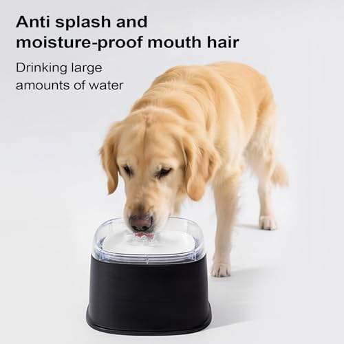 Auslaufsicherer Trinknapf Für Hunde,Futternapf Mit Verlangsamung Für Hunde Und Katzen | 2000ml Großvolumen Tränke Für Welpen Kätzchen Unterwegs Zuhause Auto Reise