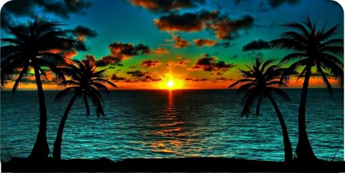 Beach Sunset Photo License Plate