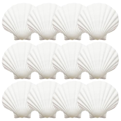 12 peças concha de vieiras grande, 9 - 10 cm, conchas brancas de mar decoração, conchas de violeta natural grandes, para artesanato casamento decoram festas temáticos de praia, peixes e vasos