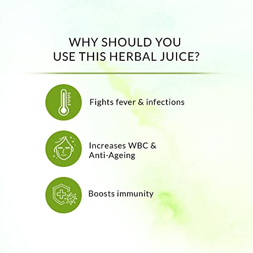 Image of Immunity Care Juice | Naturally Boosts Immunity And Digestive Health | Natural Ingredients Giloy, Tulsi, Kalmegh, Mulethi, And Amla | Boosts Overall Hydration Of The Body, 750 ml