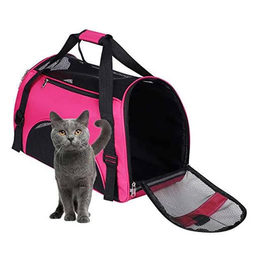 Trasportino da viaggio per cani, con lati morbidi e tappetini per animali domestici, in tessuto Oxford traspirante, borsa da viaggio, portatile, espandibile, pieghevole (Rosso rosato, 40 x 30 x 20 cm)