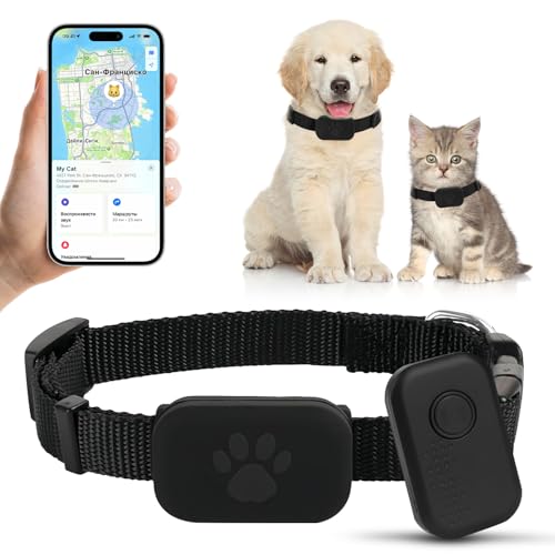 Smart Cat Collar, mini GPS Tracker per gatti, localizzazione in tempo reale, avvisi di salute, monitoraggio dell'attività, collare gratuito, nessun abbonamento richiesto, compatibile con iOS e Android