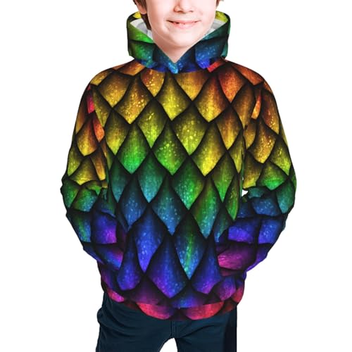 Dragon Scales Kid Hoodies Boys Sweatshirts Girls Pullover with Pocket3